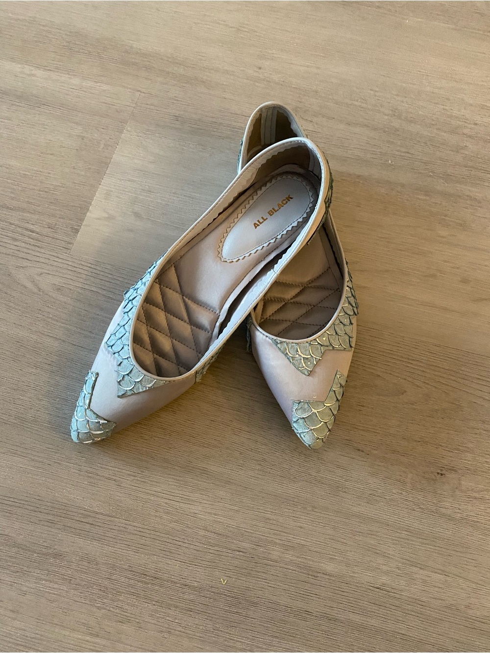 Black Pointed Toe Flats in Pale Pink with Gold Scale Accents